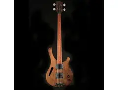 Serek	Sacramento Fretless main image