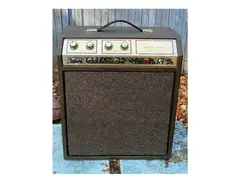Silvertone Model 1421 10XL 10-Watt 1x8 Guitar Combo main image