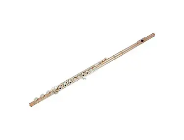 Sonare PS55BEF PS-505 500 Series Flute w/ B Footjoint