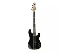 Spector Coda PJ 4 Pro main image