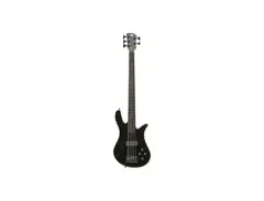 Spector SpectorCore 5 Fretless main image