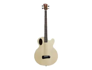 Spector Timbre Jr.
