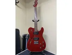 Squier Thinline Telecaster main image