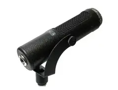 Stager Microphones SR-5 Directional Ribbon Microphone main image