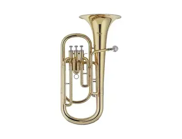 Stagg WS-BH235 Student Bb Baritone with Case