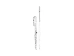 Stagg WS-FL221S Student Closed-Hole C Flute with Curved/Straight Headjoints, Case main image
