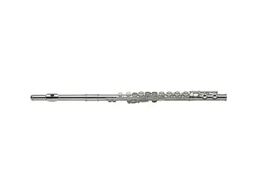 Stagg WS-FL231 Student C Flute with Case