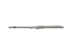 Stagg WS-FL231 Student C Flute with Case main image