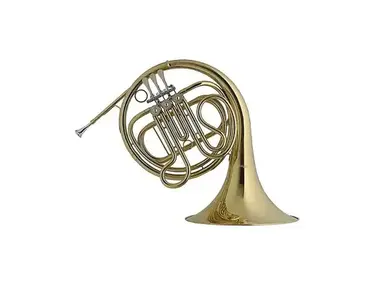 Stagg WS-HR245 Student 3-Valve French Horn w/ Case