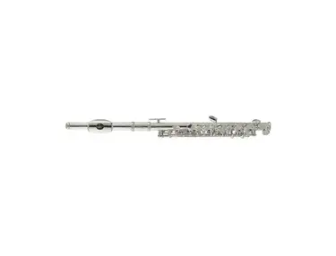 Stagg WS-PF211S Student C Piccolo with Case