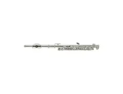 Stagg WS-PF211S Student C Piccolo with Case main image