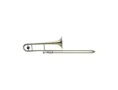 Stagg WS-TB245 Bb Student Tenor Slide Trombone with Case main image