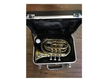 Stagg WS-TR245 Bb Student Pocket Trumpet w/ Case