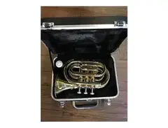 Stagg WS-TR245 Bb Student Pocket Trumpet w/ Case main image