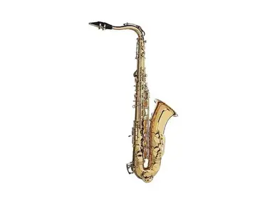 Stagg WS-TS215 Student Tenor Sax with Case