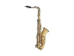 Stagg WS-TS215 Student Tenor Sax with Case main image