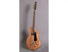 Hybrid Guitars Hybrid 7 Guitar main image