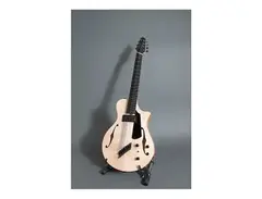 Hybrid Guitars Hybrid 7 Semi-Hollow Guitar main image