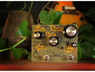Hungry Robot Pedals The Wallflower
