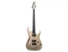Suhr Custom Shop Standard Arch Top main image