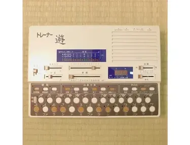Suiko VS-1 Koto Synthesizer