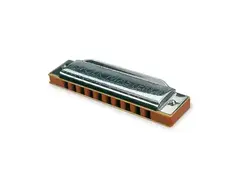 Suzuki 1072-D Folkmaster Diatonic Harmonica - Key of D