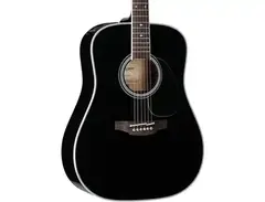Takamine FT341 Dreadnought main image