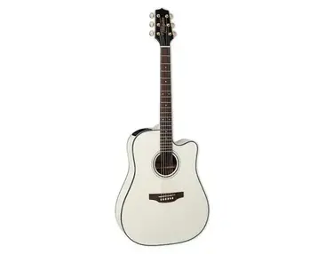 Takamine GD35CE