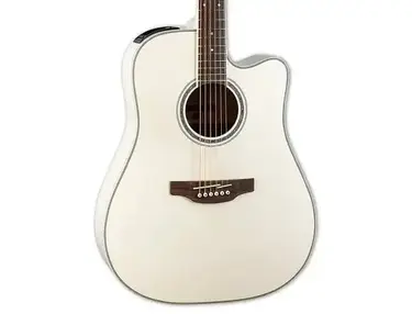 Takamine EF341SC 猫ちゃんさん専用 Takamine EF341SC 猫ちゃんさん専用