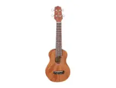 Takamine GUS1 G Series All-Mahogany Soprano Ukulele main image