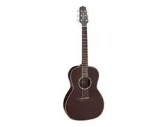 Takamine GY21E