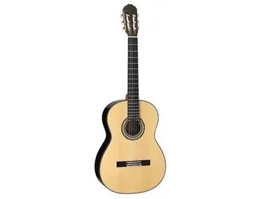 Takamine H8SS Hirade Concert Classical