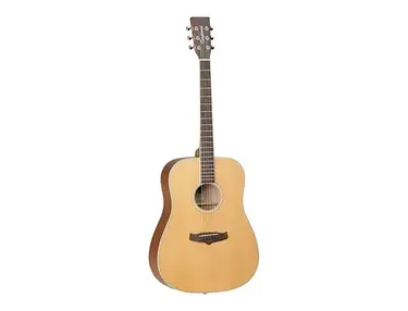 Tanglewood TW11 Winterleaf Dreadnought