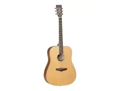 Tanglewood TW11 Winterleaf Dreadnought main image