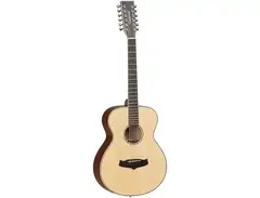 Tanglewood TW12 Winterleaf 12-String Orchestra main image