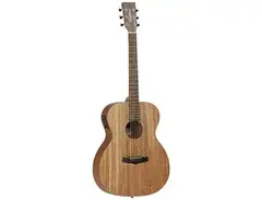 Tanglewood TW2-AS-E Winterleaf Orchestra with Electronics main image