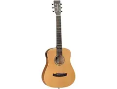 Tanglewood TW2-T SE Winterleaf Travel with Electronics main image