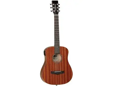Tanglewood TW2-T XE Winterleaf Travel with Electronics