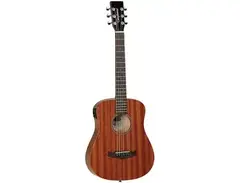 Tanglewood TW2-T XE Winterleaf Travel with Electronics main image