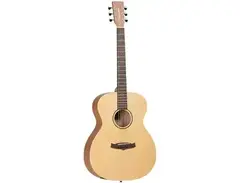 Tanglewood TW6 Winterleaf Orchestra main image