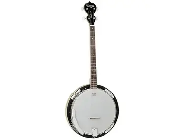 Tanglewood TWB-18-M4 Union Series 4-String Banjo