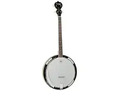 Tanglewood TWB-18-M4 Union Series 4-String Banjo main image