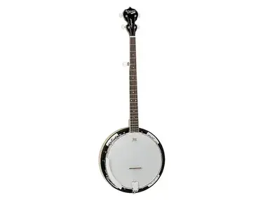 Tanglewood TWB-18-M5 Union Series 5-String Banjo