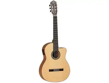 Tanglewood TWCE2 Winterleaf Classical