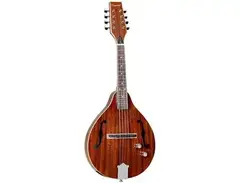 Tanglewood TWM-T-MH-STE Union Mandolin with Electronics main image