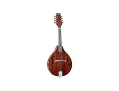 Tanglewood TWM-T-MH Union Mandolin main image