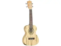 Tanglewood TWT-10 Tiare Concert Ukulele main image