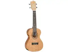 Tanglewood TWT-6 Tiare Concert Ukulele main image