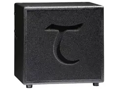 Tanglewood TXS Acoustic Combo Subwoofer main image