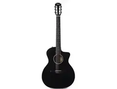 Taylor 214ce-N DLX main image